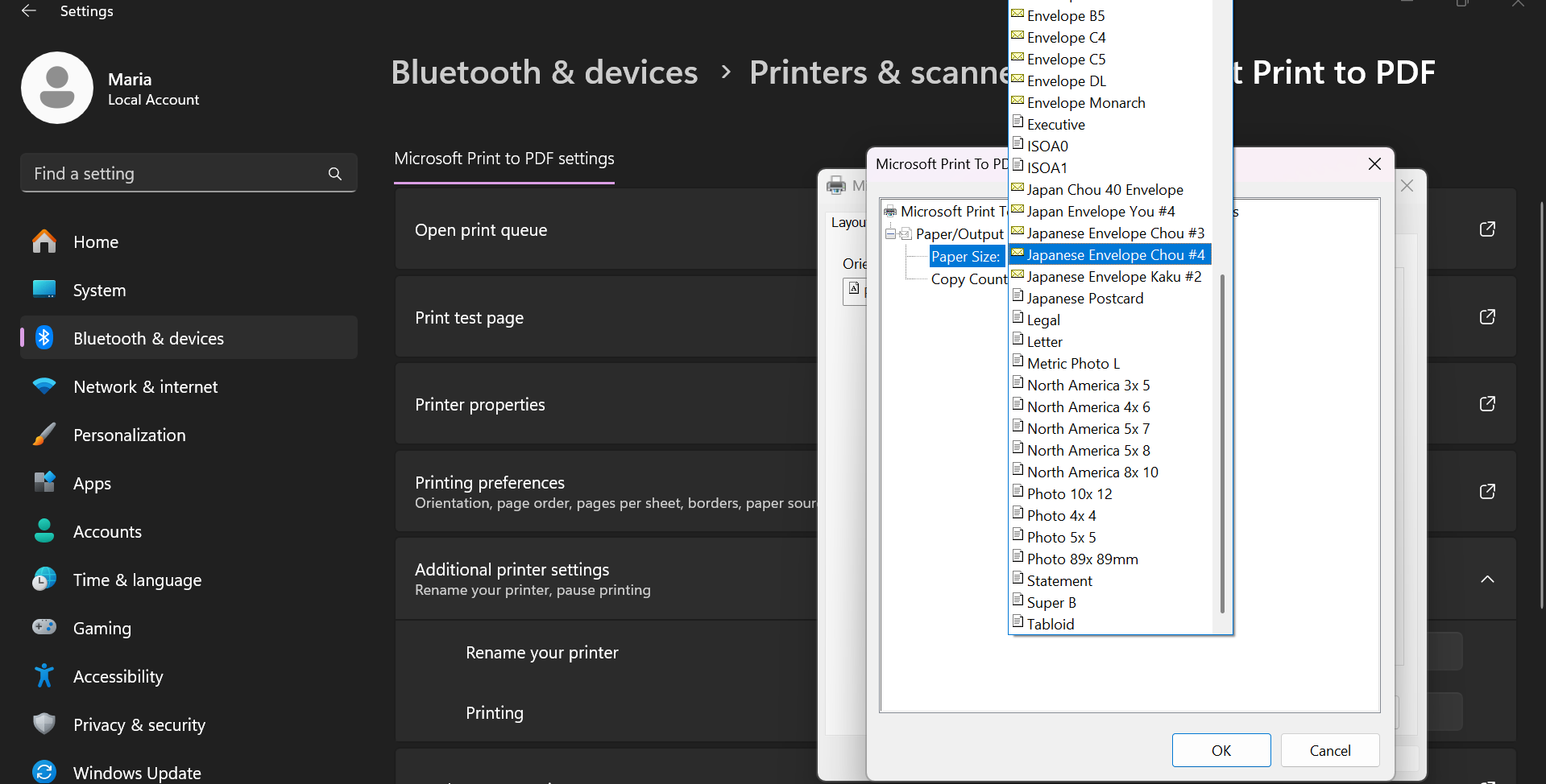 System Printer Settings